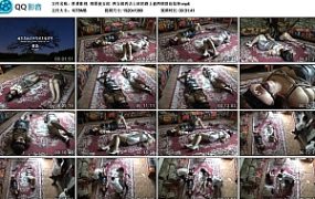 【胜景影视】绑票夜女郎