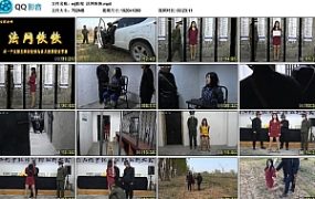 【mj影视】法网恢恢