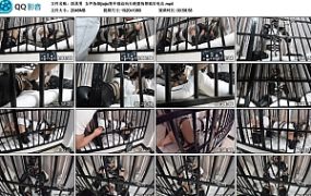 【面具男】女声伪娘jiojio笼中强迫抬头绝望拘禁疯狂电击