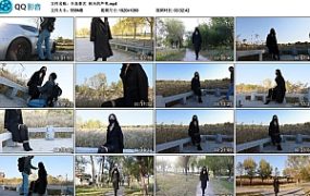 【半岛束艺】秋天的芦苇