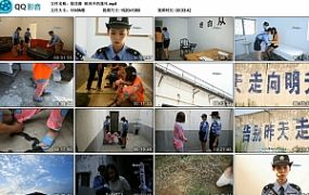 【梨花雨】秋风中的落叶