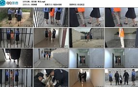 【梨花雨】寒花