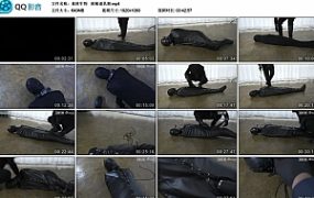 【真核生物】 致敬道具箱