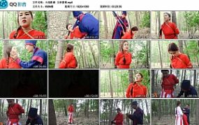 【天逸影画】女侠蒙难