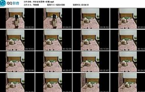 同好定拍团缚＋放置