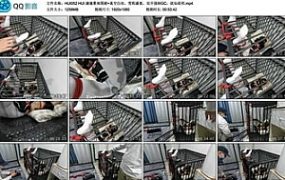 HUI 潼潼果体围裙+真空白丝，雪糕盛宴，双开强制GC，欲仙欲死