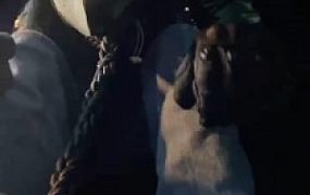 【潘妮女王】深夜户外骑马遛狗