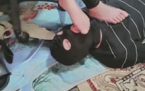 【西安欣】踩踏脚垫/强制喂食