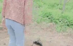 【美帝】双S户外活埋跟踪狂魔【三视角版】