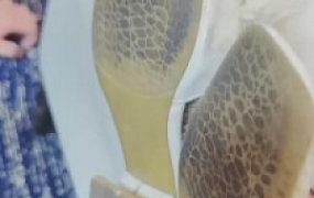 【灵教官】舔脏鞋底/臭脚专场