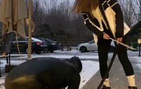 【星染】双主户外雪地暴力抽奴