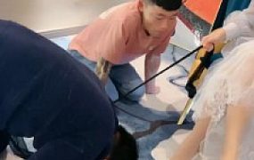 【鑫儿教头】3K争宠无敌PK