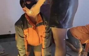 【汐言】开发送货小哥做狗