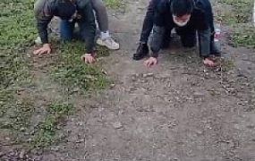 【雨雨大人&一璇S】双s户外偶遇调教修理贱狗（双视角）bf21977