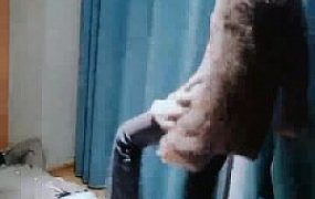 【景德镇】全程踹头档