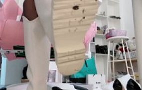 【一茶】同事居然是条狗