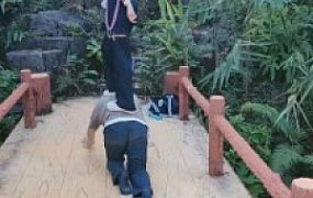 【暴力美学】运动女神小白鞋虐打狗