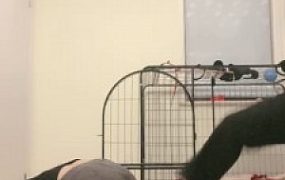 【安静大大】双奴被母女S刑虐【双视角版】  JS22102509