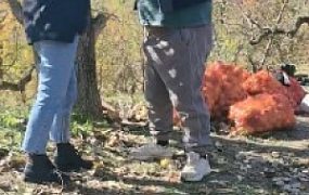 【简爱】户外袜子塞嘴虐打胖墩