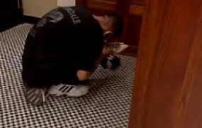 【甜甜大人】弟弟居然喜欢被虐