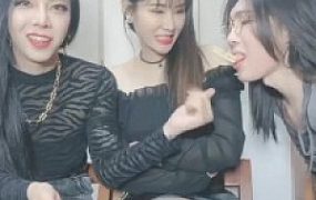 【松紫】全明星阵容调狗