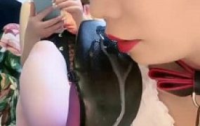 【茹雪】母畜-你的女神是我的狗