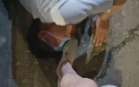 【梵高】舞蹈美女路人开发