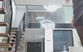 【梓晨】偷鞋狗的下场