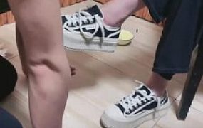 【逗逗】餐厅内生活化k9调教