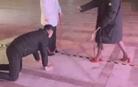 【牙乖乖】双S商业街公开遛狗【双视角版】