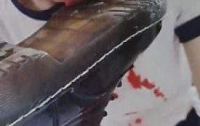 【森森】骚母狗犬化训练【四】