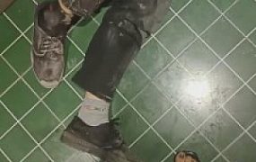 【C皇】双S边打桌球边虐狗【双视角版】