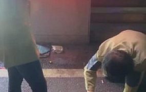 【紫烟】遇到要饭的虐成狗【双视角版】