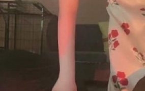 【九九女王】学生S虐狗熊【下】