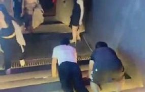 【稚S】群调-双狗酒吧互动【三视角版】