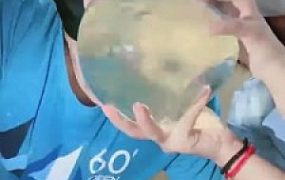 【美离子】御姐羞辱场/大缸圣水强制灌