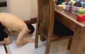 【维依】推荐-群调应聘家奴的狗 G-210820