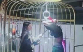 【小拽主人】酒吧3S精神小妹吊绑虐狗