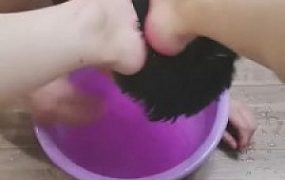 【梵高】原味丝足火龙果碾压喂食