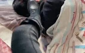 【罗宾】带素人闺蜜直接闯到狗家里