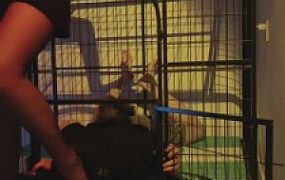 【书瑶瑶瑶】狗笼调教圈养喂食圣水【下】