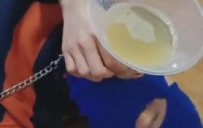 【平凡】tj小鲜肉贱狗