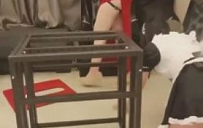 【北京双子姬】小骚母狗被关狗笼里虐