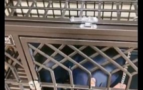 【仙女殿下】圈养的狗被暴虐