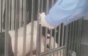 【千梦】我哥偷我袜子被逮住【下】