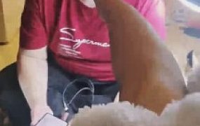 【双子姬】喜欢舔脚的老板