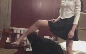 【77S】老狗被迫转胯/骑马/遛狗