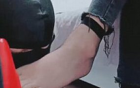 【bibi】酸臭丝袜脚是狗狗的最爱