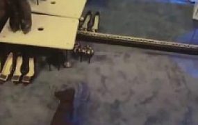 【晨晨】圈养奴的卑微伺候 JS220414