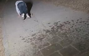 【二宝】大学生S户外调双狗